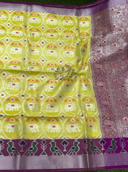 Beautiful Shades Of Handloom Tissue Kota Sarees